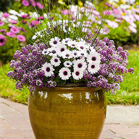 Фото Набор Эти глаза напротив