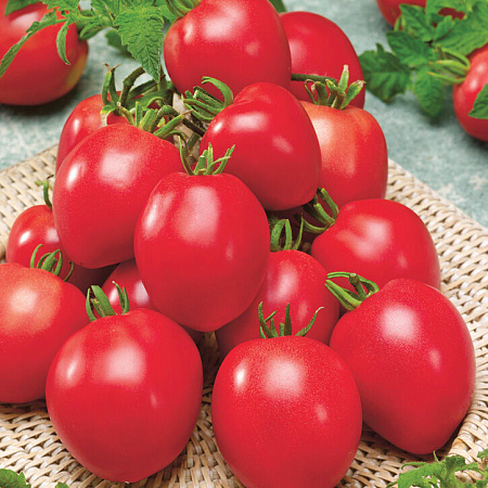 Фото Помидоры Малиновое чудо 4 серия F1