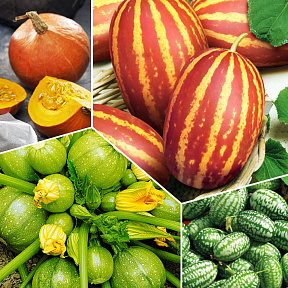 Удивительный набор Галилео