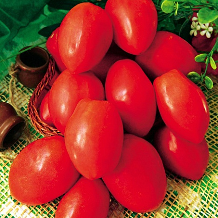 Фото Помидор Малиновая радость
