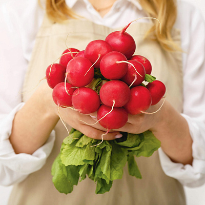 Редис Атолл F1 1гр