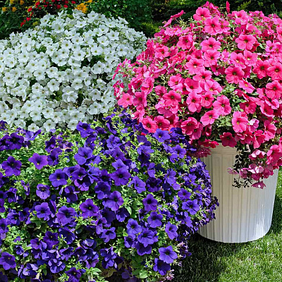 Набор супертуний №2