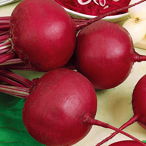 Свёкла Болтарди