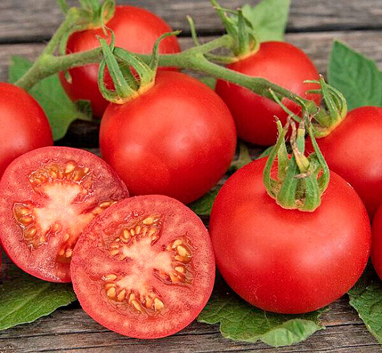 Купить семена Помидор Харцфойер F1 — от НПО Сады Росcии