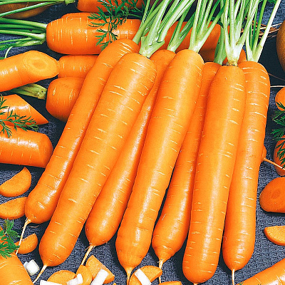 Морковь Маэстро F1 0,5гр