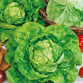 Салат Аттракцион