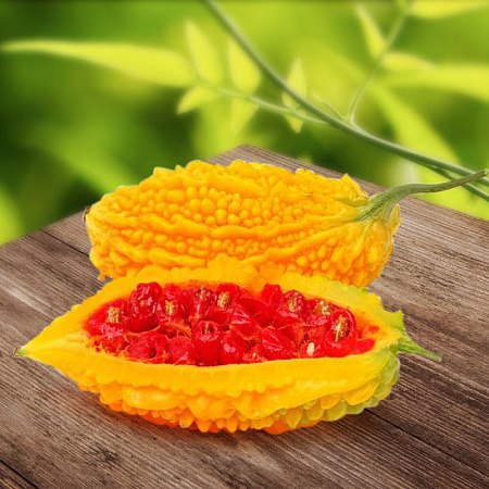 Фото Момордика Джадета F1