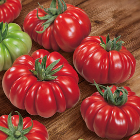Помидор Риккиуто F1
