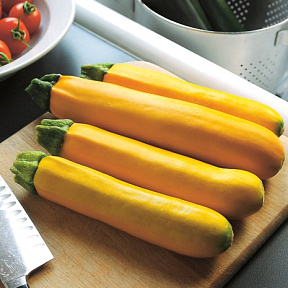 Кабачок Лёгкий сбор Золотой F1