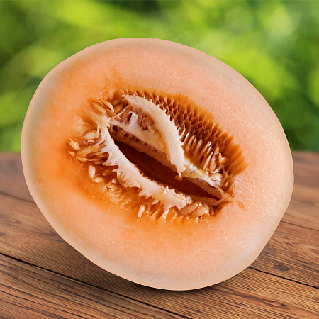 Фото Дыня Фестиваль оранж F1