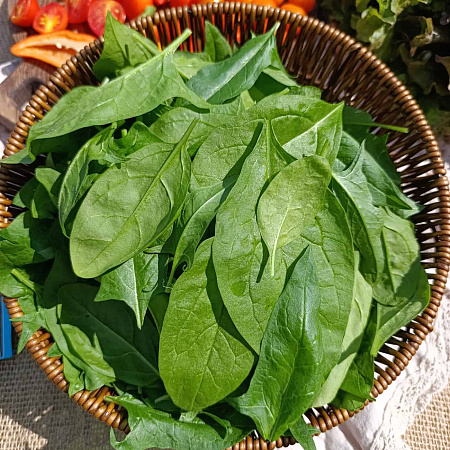 Фото Шпинат Виктория